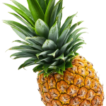 envato-labs-image-edit